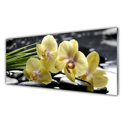 Pintura acrílica Flores Planta Natureza