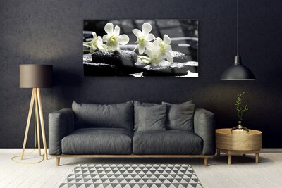 Quadro acrílico Planta de Pedras de Orquídea