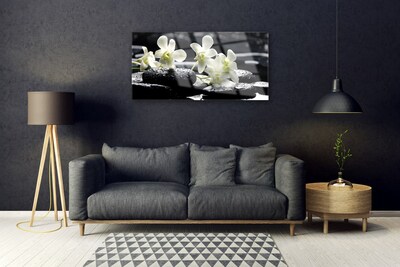 Quadro acrílico Planta de Pedras de Orquídea