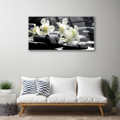 Quadro acrílico Planta de Pedras de Orquídea