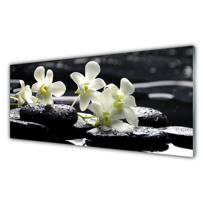 Quadro acrílico Planta de Pedras de Orquídea