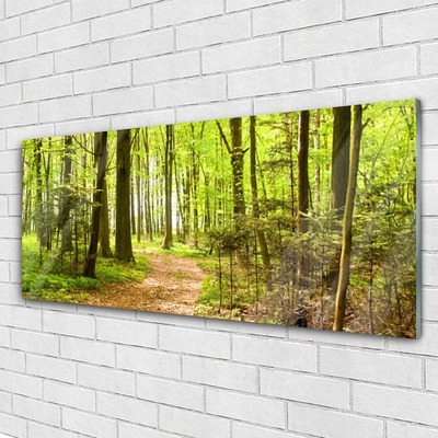 Quadro acrílico Trilha da Natureza da Floresta