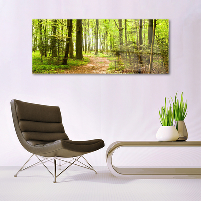 Quadro acrílico Trilha da Natureza da Floresta