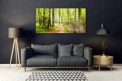 Quadro acrílico Trilha da Natureza da Floresta
