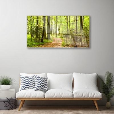 Quadro acrílico Trilha da Natureza da Floresta