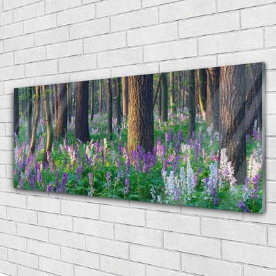 Quadro acrílico Árvores da Floresta Natureza