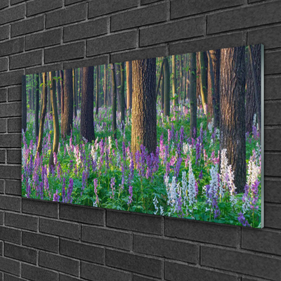 Quadro acrílico Árvores da Floresta Natureza