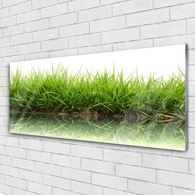 Quadro acrílico Grama Água Natureza Planta