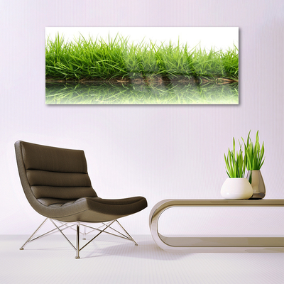 Quadro acrílico Grama Água Natureza Planta