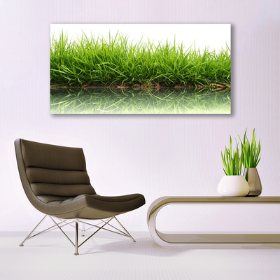 Quadro acrílico Grama Água Natureza Planta