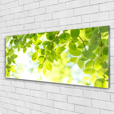 Pintura acrílica Folhas Natureza Planta