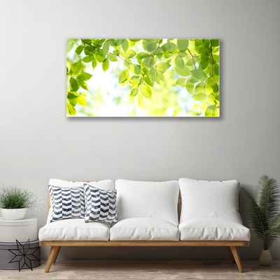 Pintura acrílica Folhas Natureza Planta