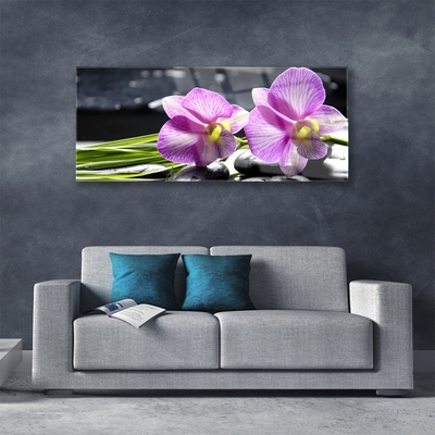 Quadro acrílico Flores Planta Natureza