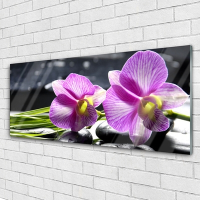 Quadro acrílico Flores Planta Natureza