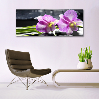 Quadro acrílico Flores Planta Natureza