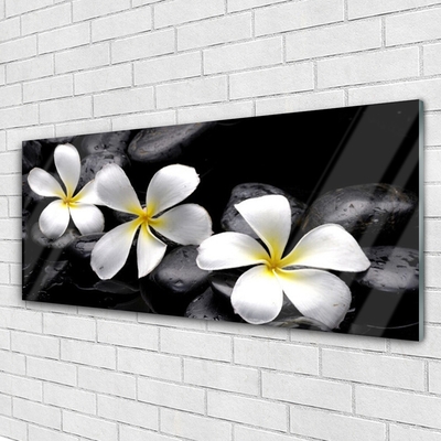 Quadro acrílico Planta de flor de plumeria