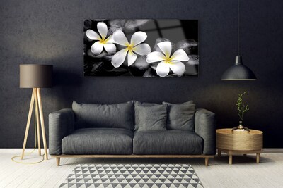 Quadro acrílico Planta de flor de plumeria