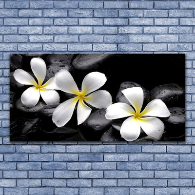 Quadro acrílico Planta de flor de plumeria