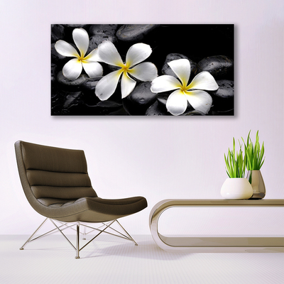 Quadro acrílico Planta de flor de plumeria