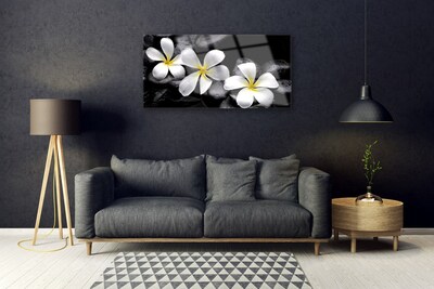 Quadro acrílico Planta de flor de plumeria