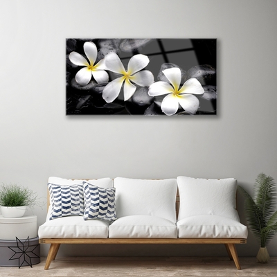 Quadro acrílico Planta de flor de plumeria