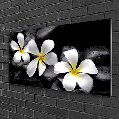 Quadro acrílico Planta de flor de plumeria
