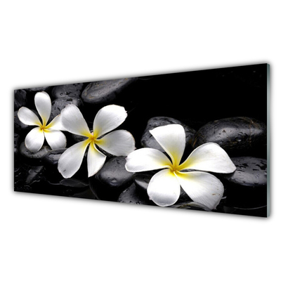 Quadro acrílico Planta de flor de plumeria