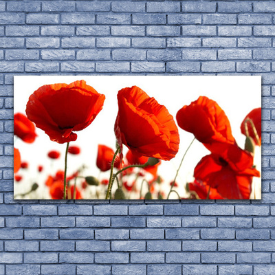 Pintura acrílica Papoulas Plantam Natureza