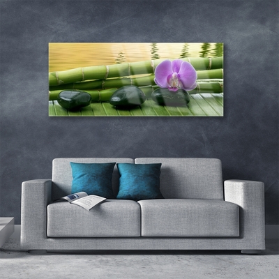 Quadro acrílico Pedras de flores Bambu Natureza