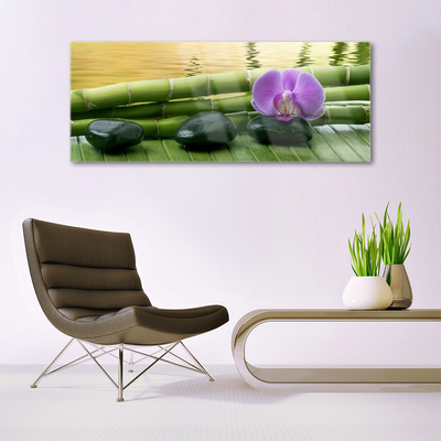 Quadro acrílico Pedras de flores Bambu Natureza