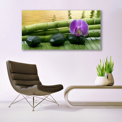 Quadro acrílico Pedras de flores Bambu Natureza