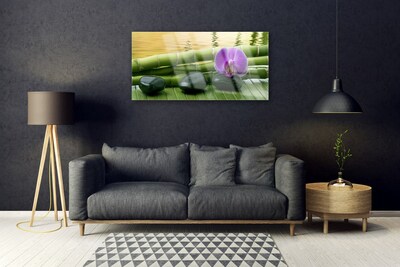 Quadro acrílico Pedras de flores Bambu Natureza