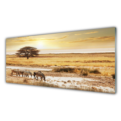 Quadro acrílico Paisagem de safári de zebra