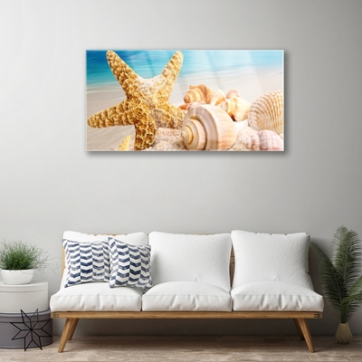 Pintura acrílica Arte em conchas de estrelas do mar