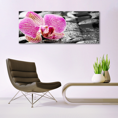 Quadro acrílico Pedras de flores Orquídea