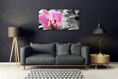 Quadro acrílico Pedras de flores Orquídea
