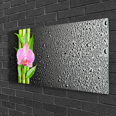 Quadro acrílico Planta de flor de caule de bambu