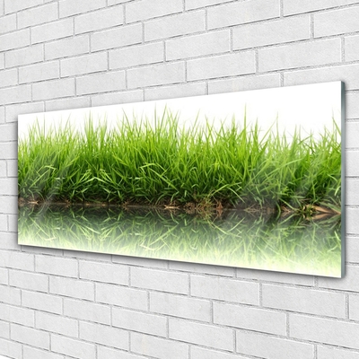 Quadro acrílico Grama Natureza Planta