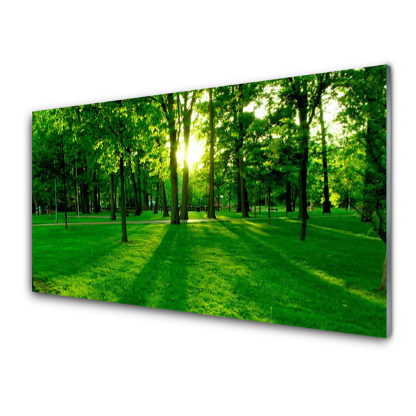 Pintura acrílica Parque Florestal Natureza