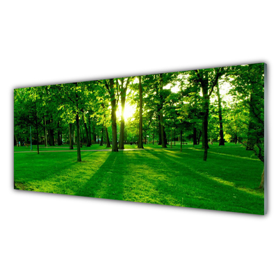 Pintura acrílica Parque Florestal Natureza