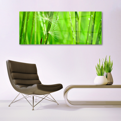 Quadro acrílico Natureza da planta grama