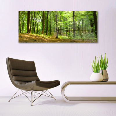 Quadro acrílico Trilha da Natureza da Floresta