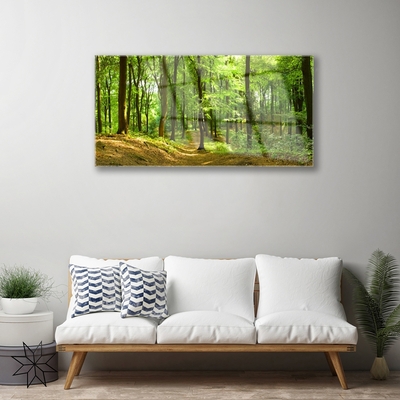 Quadro acrílico Trilha da Natureza da Floresta