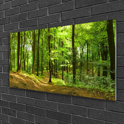 Quadro acrílico Trilha da Natureza da Floresta