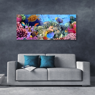 Quadro acrílico Natureza dos recifes de corais