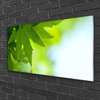 Pintura acrílica Folhas Natureza Planta