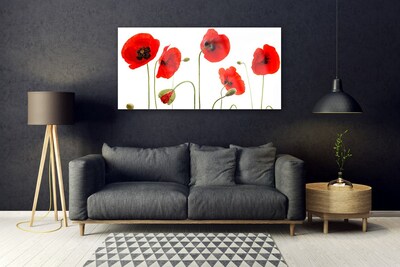 Quadro acrílico Papoulas Plantam Natureza