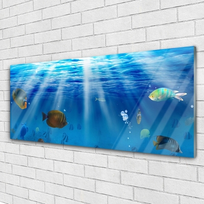 Pintura acrílica Natureza dos peixes