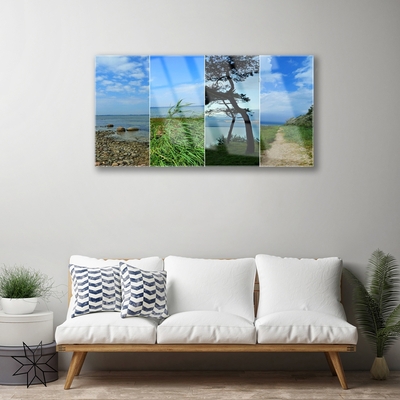 Quadro acrílico Paisagem de árvores de praia