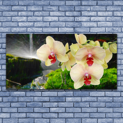 Quadro acrílico Árvores Natureza Planta